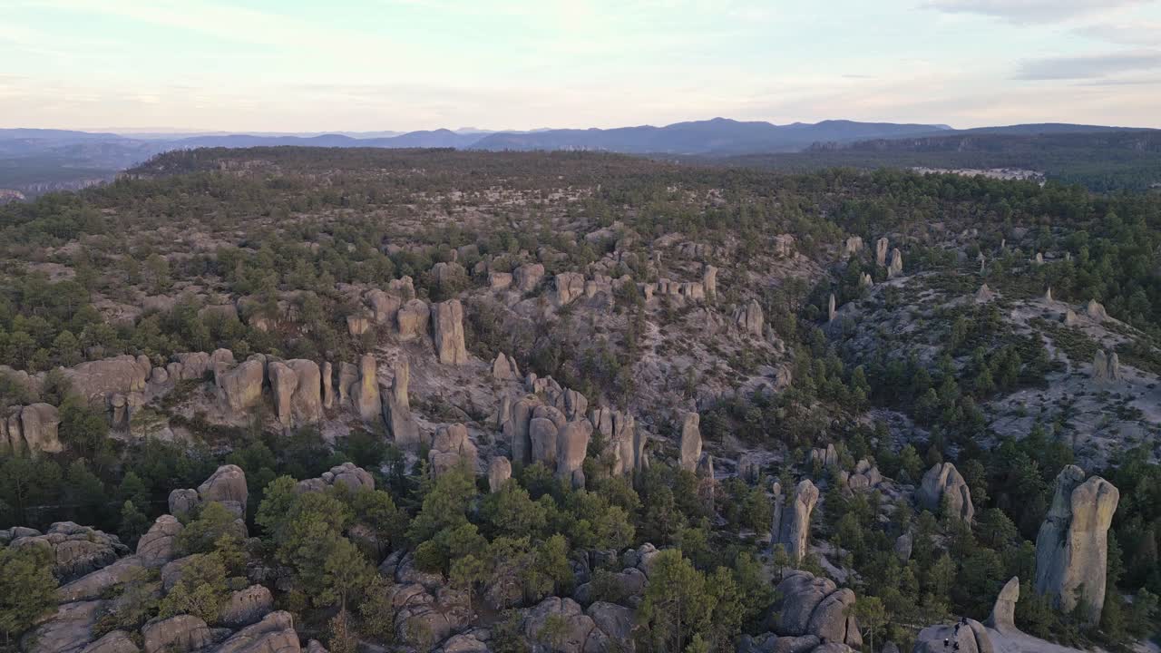 Towering rock formations in a pine forest at Valle de los Monjes, Creel, Chihuahua