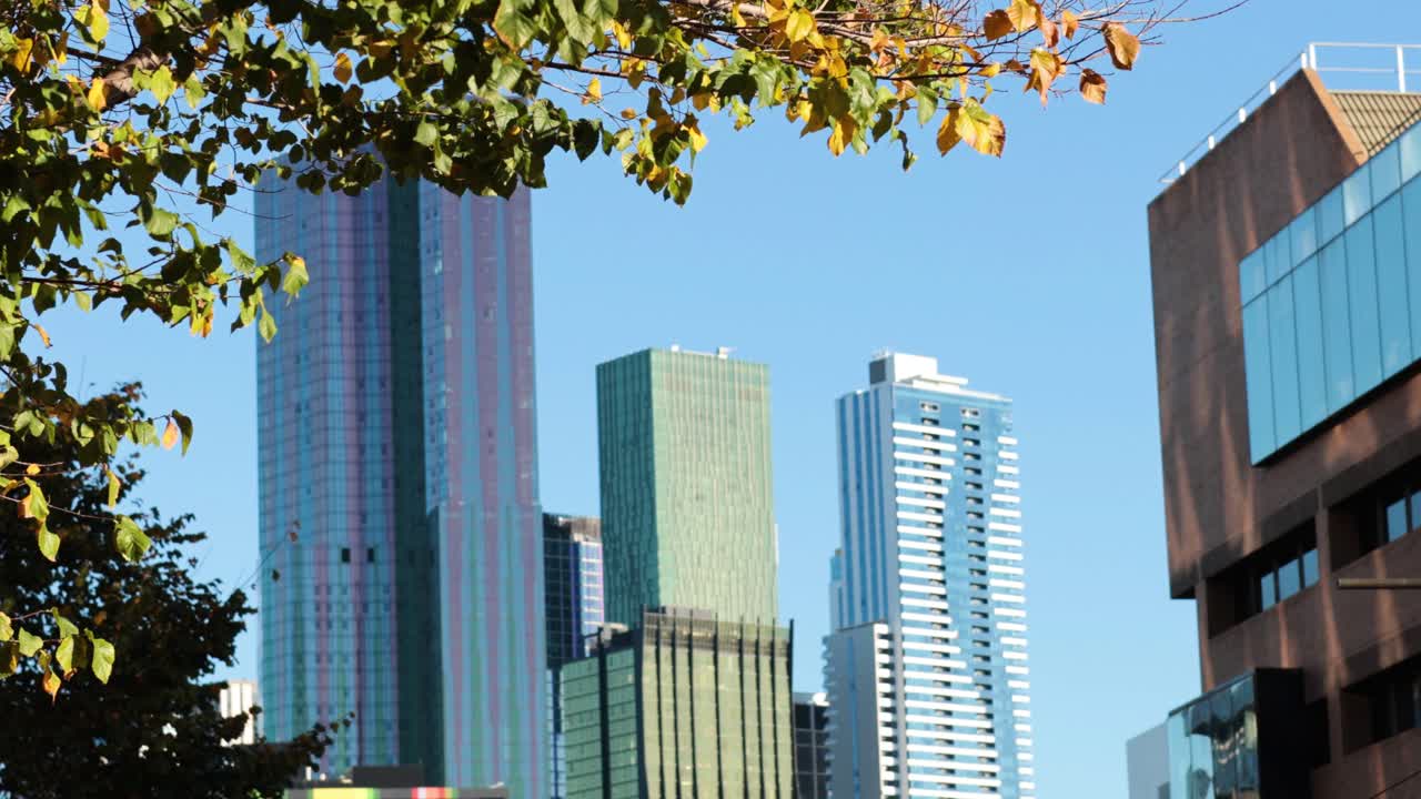 Urban skyline with buildings and tree branches