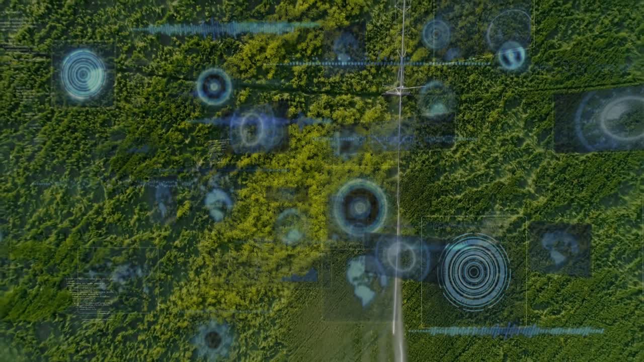 Aerial view of forest with digital data processing animation overlay