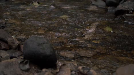 natural shallow stream of water flowing over rocks and pebbles medium panning shot