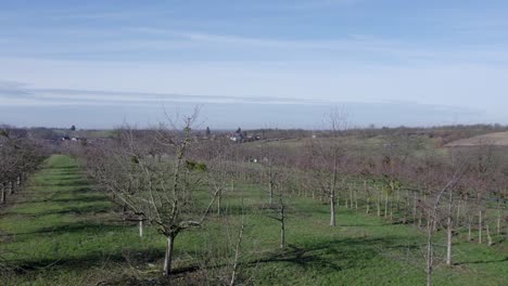 revealing drone shot of beautiful countryside with small village in background, germany