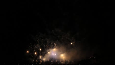 espectáculo de fuegos artificiales en cámara lenta azul, rosa, rojo y blanco