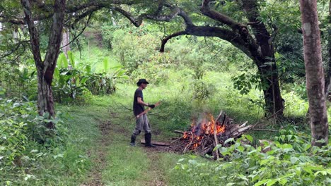 Arborista-Agregando-Madera-Cortada-A-Un-Pozo-De-Fuego-En-El-Distrito-De-Caimito,-Provincia-De-Panamá,-Panamá