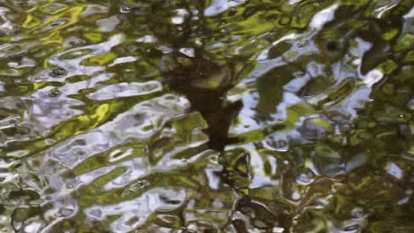 Bubbles-float-and-pop-on-water-with-distorted-reflections