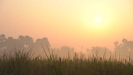 Morgenlichter-Kommen,-Indem-Sie-Den-Nebel-Durchdringen