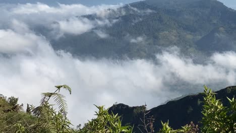 beautiful and serene atmosphere on the mount andong climbing route in the morning. towering trees and other mountain views are visible.