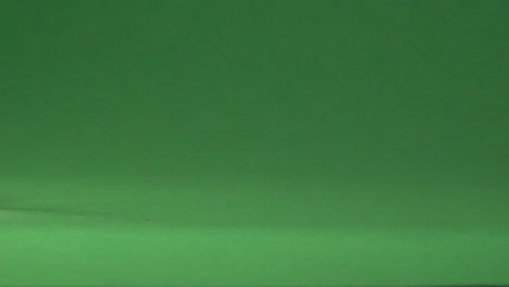 a mexican coin rolling on a chroma background