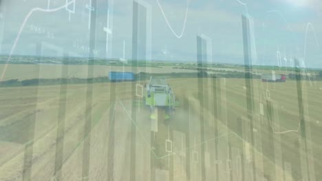 gráficos y campo abierto