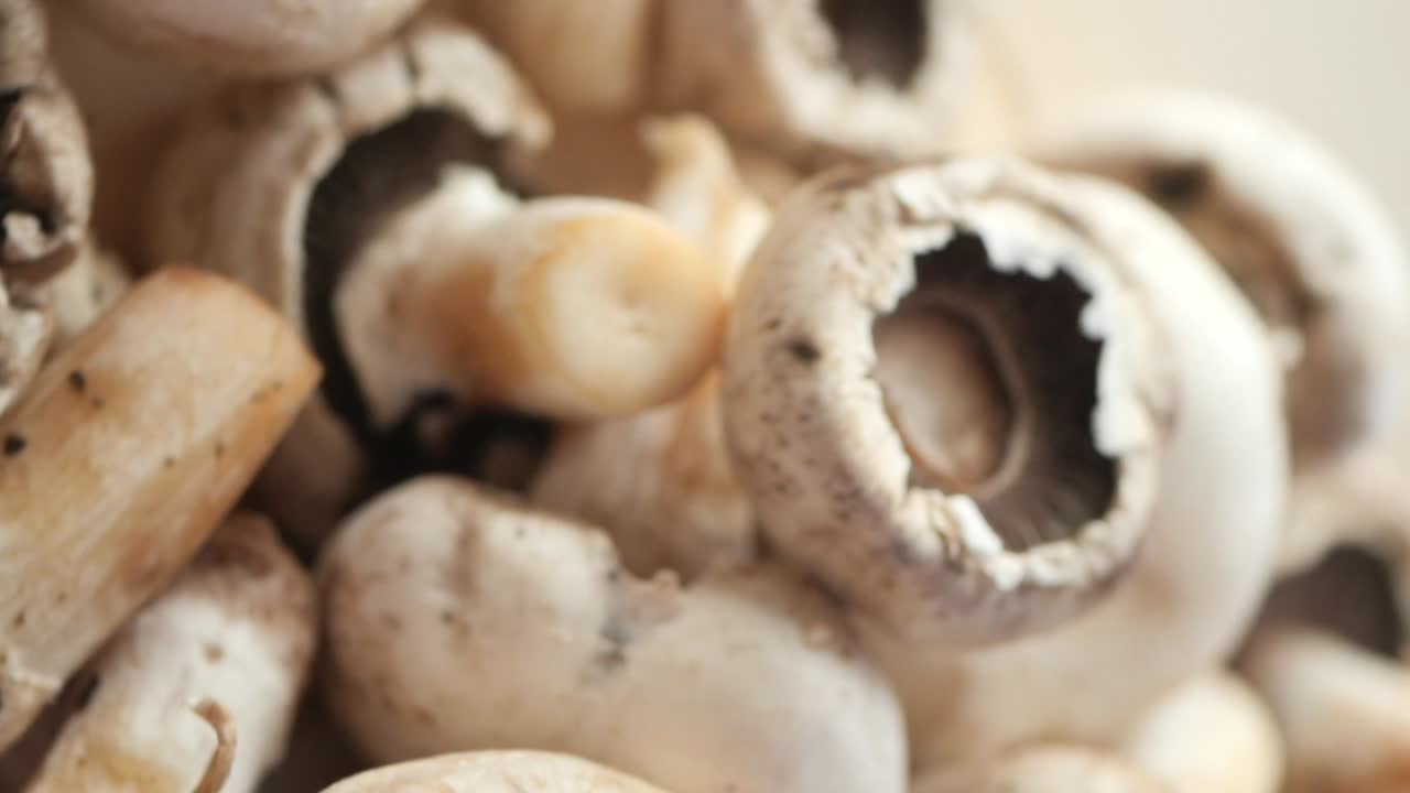 Pile of Fresh Mushrooms