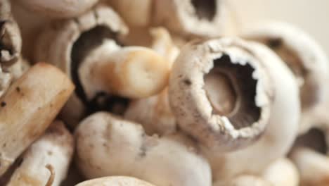 pile of fresh mushrooms