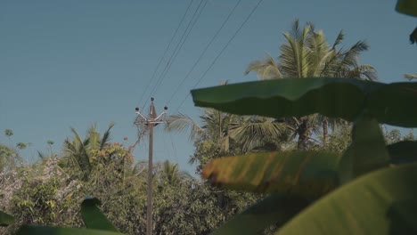 Handheld-shot-of-a-power-pole-responsible-for-generating-electricity-during-energy-crisis-with-view-of-blowing-plants-and-trees-in-wind-and-view-of-blue-sky