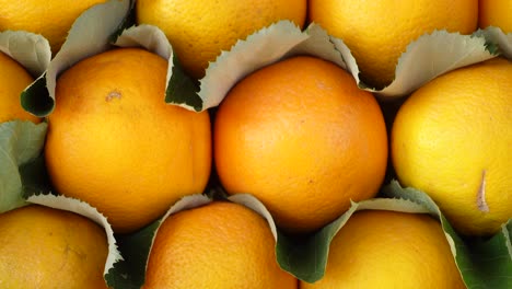 close up of fresh oranges