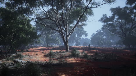 Coastal-vegetation-with-trees-and-shrubs