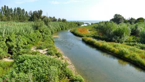 river with great green vegetation on the sides that flows into the sea