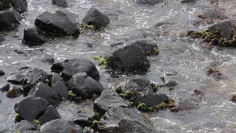 waves gently cascade among seaside rocks