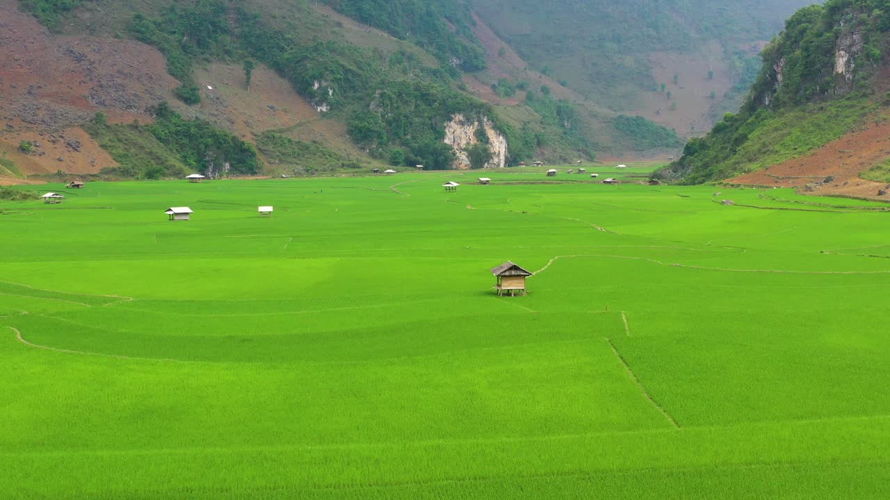 - 북서쪽 산의 아름다운 녹색 계단식 논 - 베트남