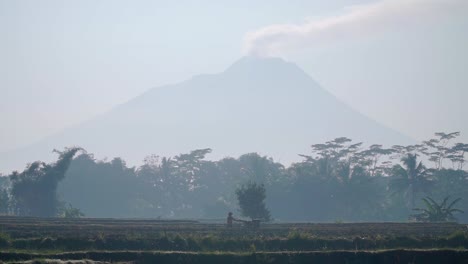 Beautiful-rural-landscape-view-of-plantation-and-huge-mountain