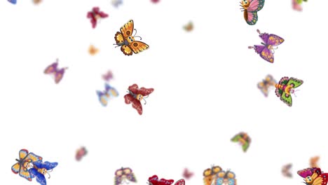 colorful cartoon butterflies