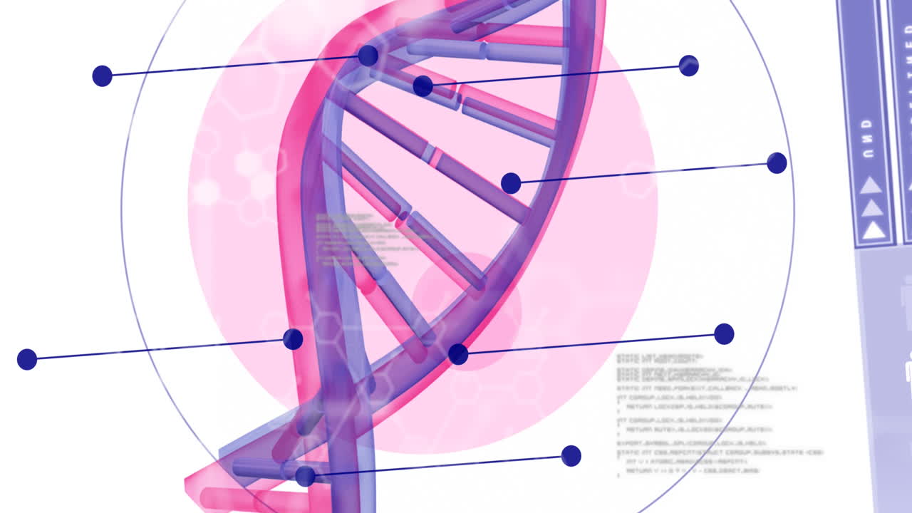 dna 가닥 스핀링을 통해 과학 데이터 처리의 애니메이션