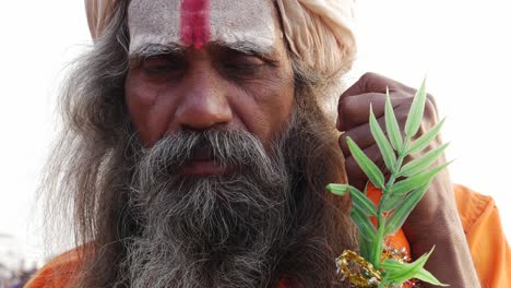 el retrato de un santo sadhu indio