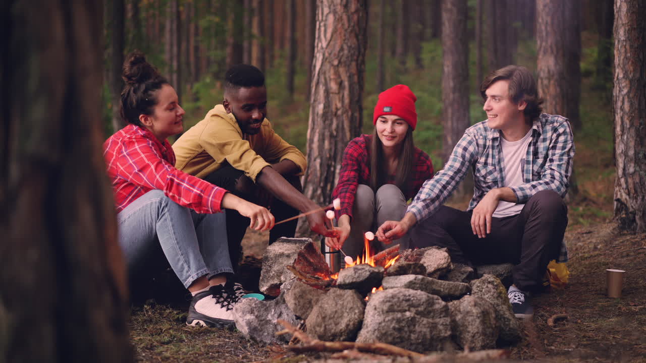 Venner griller marshmallows rundt et bål i skogen