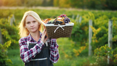 woman farmer with a basket of grapes goes along the vine steadicam shot