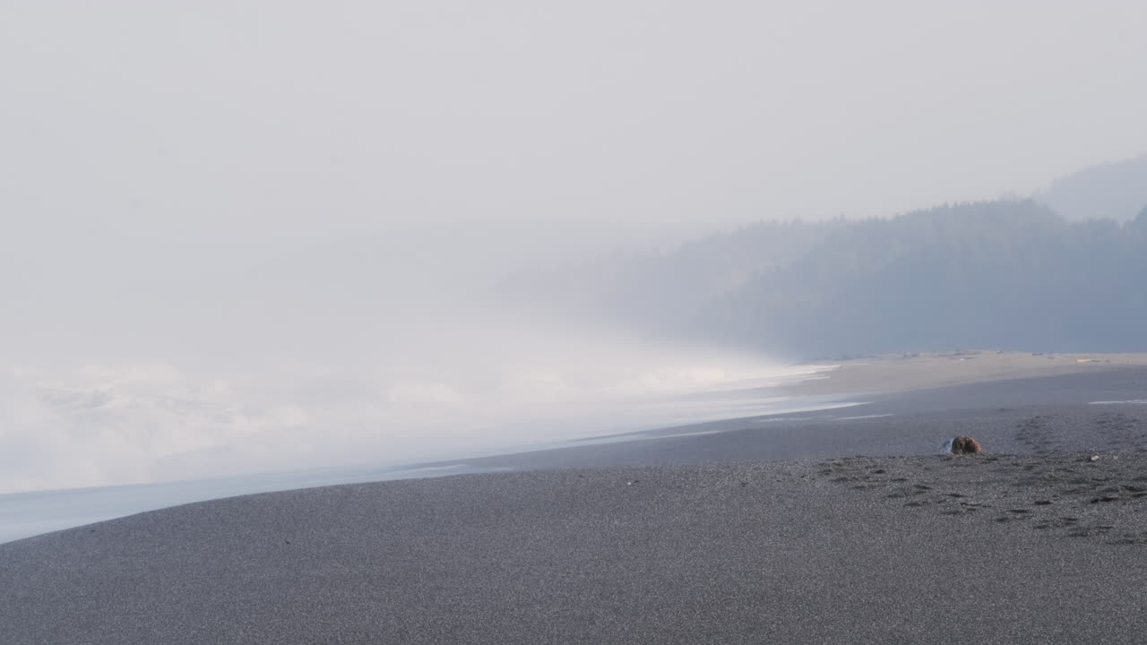 어둡고 변덕스러운 오레곤 해변에서 파도가 치고, 슬로우 모션