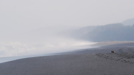 Waves-crash-on-a-dark-and-moody-Oregon-beach,-slow-motion