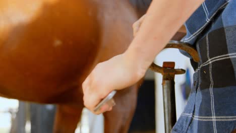 woman polishing horseshoes at stable 4k