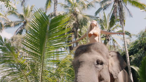 mujer feliz montando un elefante en la jungla con los brazos levantados disfrutando de la libertad explorando el exótico bosque tropical divirtiéndose en una aventura con un compañero animal 4k