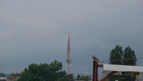 view of the mosque and minaret in the city of bursa