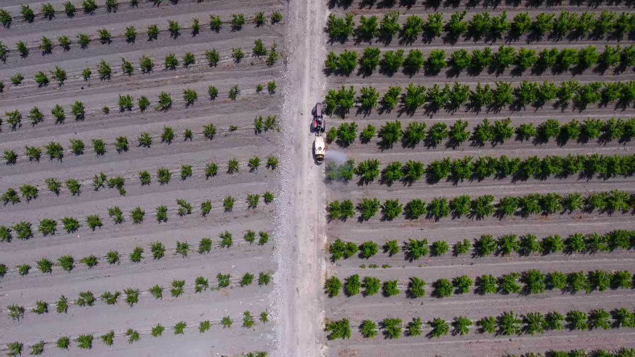 Tractor spraying trees in the orchard