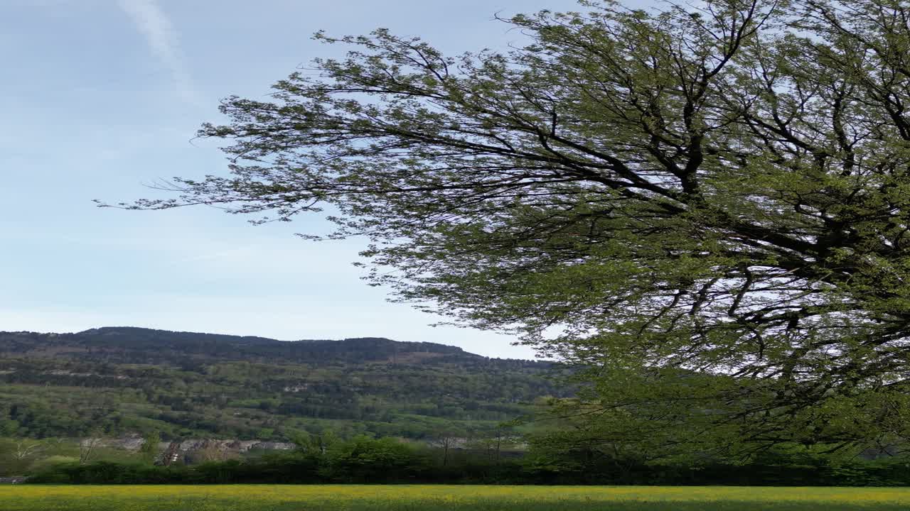 스위스, 유럽 의 발렌슈타트 의 아름다운 꽃 정원 을 드론 으로 보는 모습