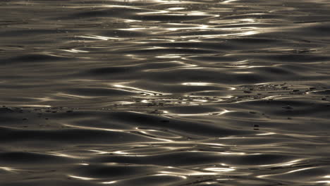 wavy dark water surface with bubbles and sunlight reflection