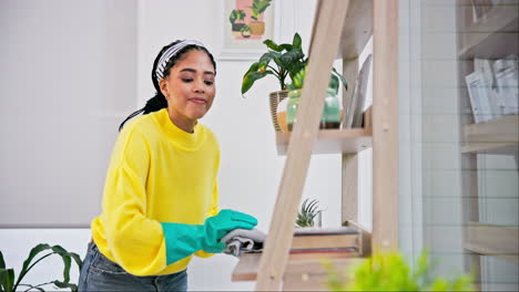 dust cleaning, woman smile