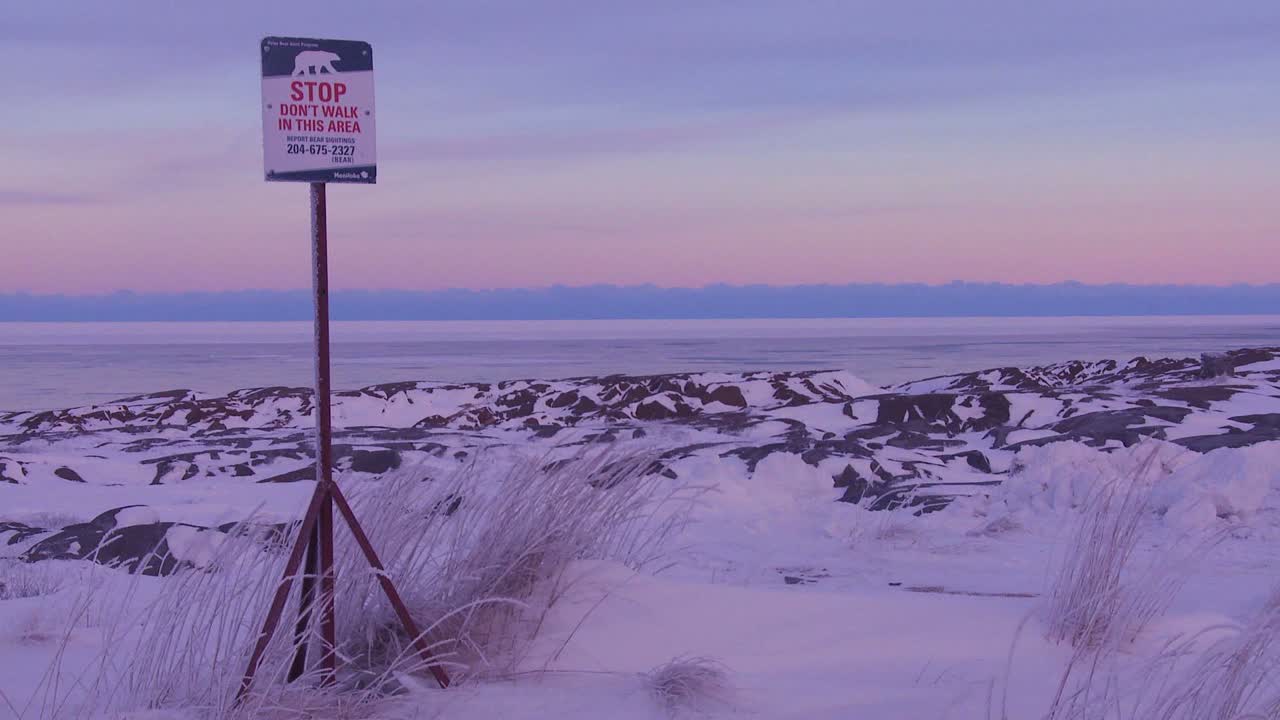 북극곰이 근처에 있다는 경고 표지판
