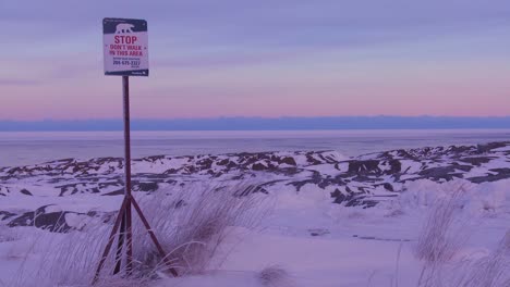 a sign warns that polar bears are in the vicinity