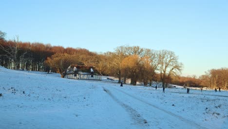 Winterpark-Menschen-Schneepark-Altes-Haus-Bauernhof-–-4k-Ultra-Hd-Uhd