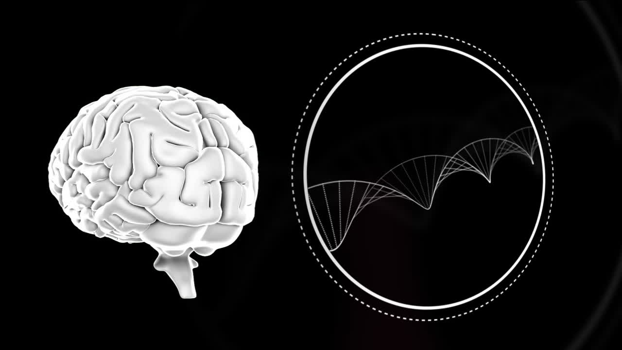 인간의 뇌와 dna 구조의 디지털 애니메이션은 보라색 배경에 회전합니다.