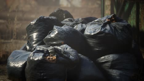 plastic trash bags on curb outside city building