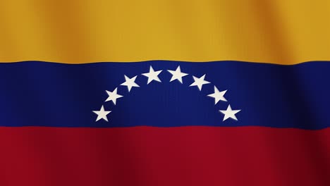 venezuela flag waving animation. full screen. symbol of the country