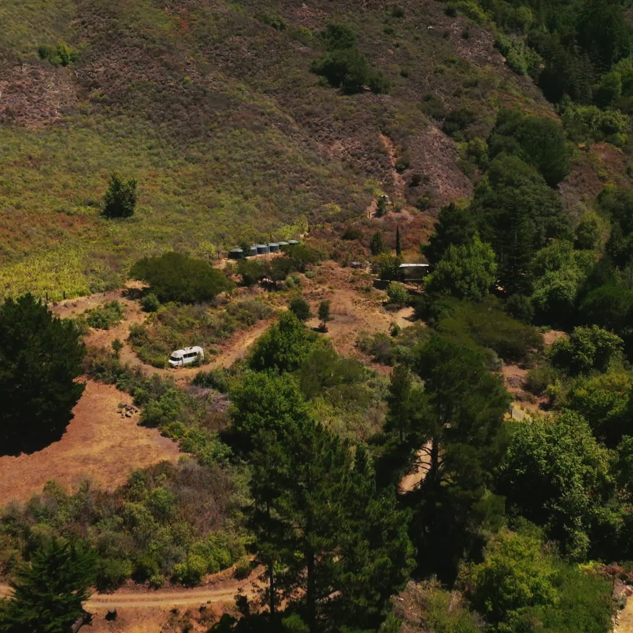 Flight above the beautiful green fir-trees and little wooden houses on sunny hot day. Village at the foot of a mountain. Top view