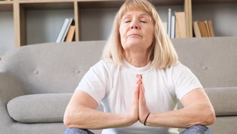 portrait of a beautiful senior woman with gray hair in nature contemplation wisdom and aging thoughtful mature woman enjoying the outdoors this video evokes themes of peace serenity and the beauty of aging