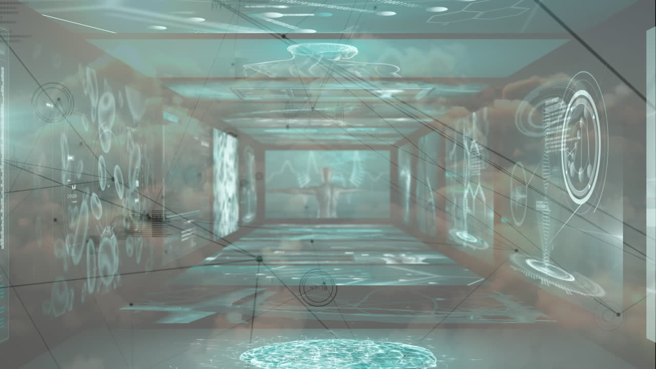 데이터 프로세싱을 통한 연결 네트워크의 애니메이션