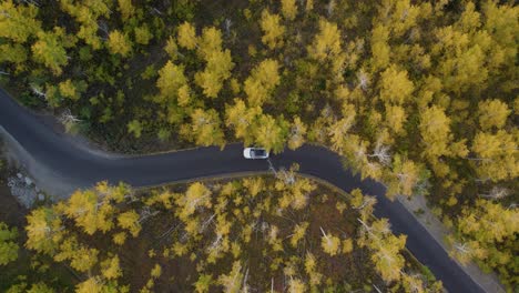 Vista-Aérea-De-La-Conducción-De-Automóviles-En-Bucle-Alpino-Entre-Los-árboles-Amarillos-Durante-El-Otoño-En-Utah,-Estados-Unidos