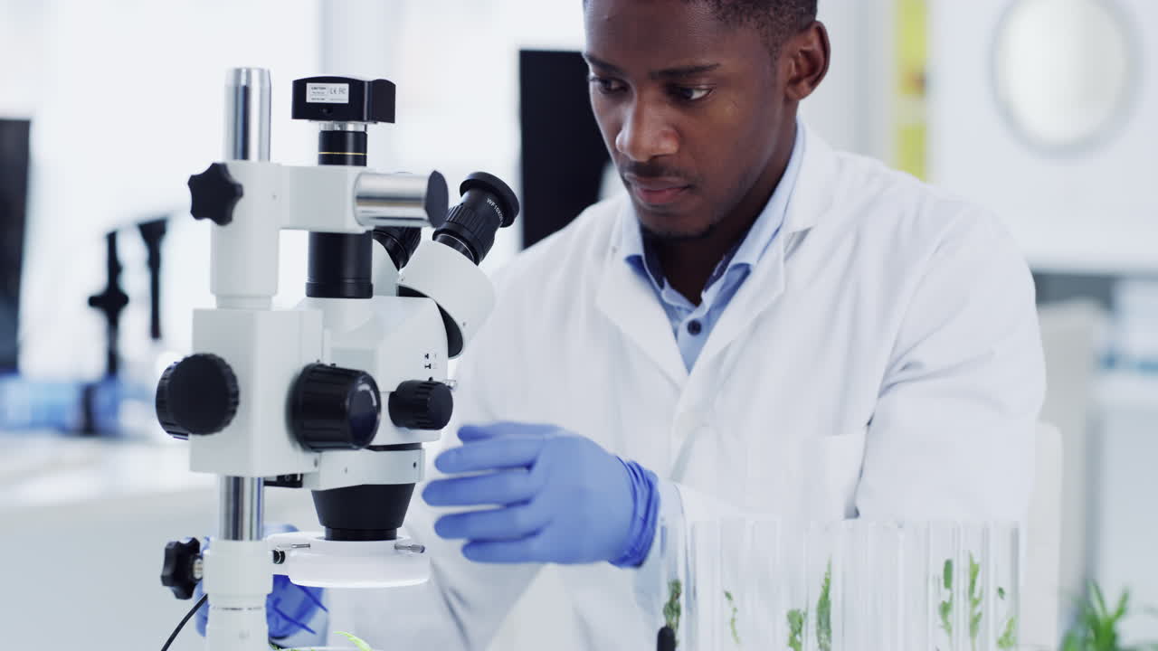 You never know what you'll find