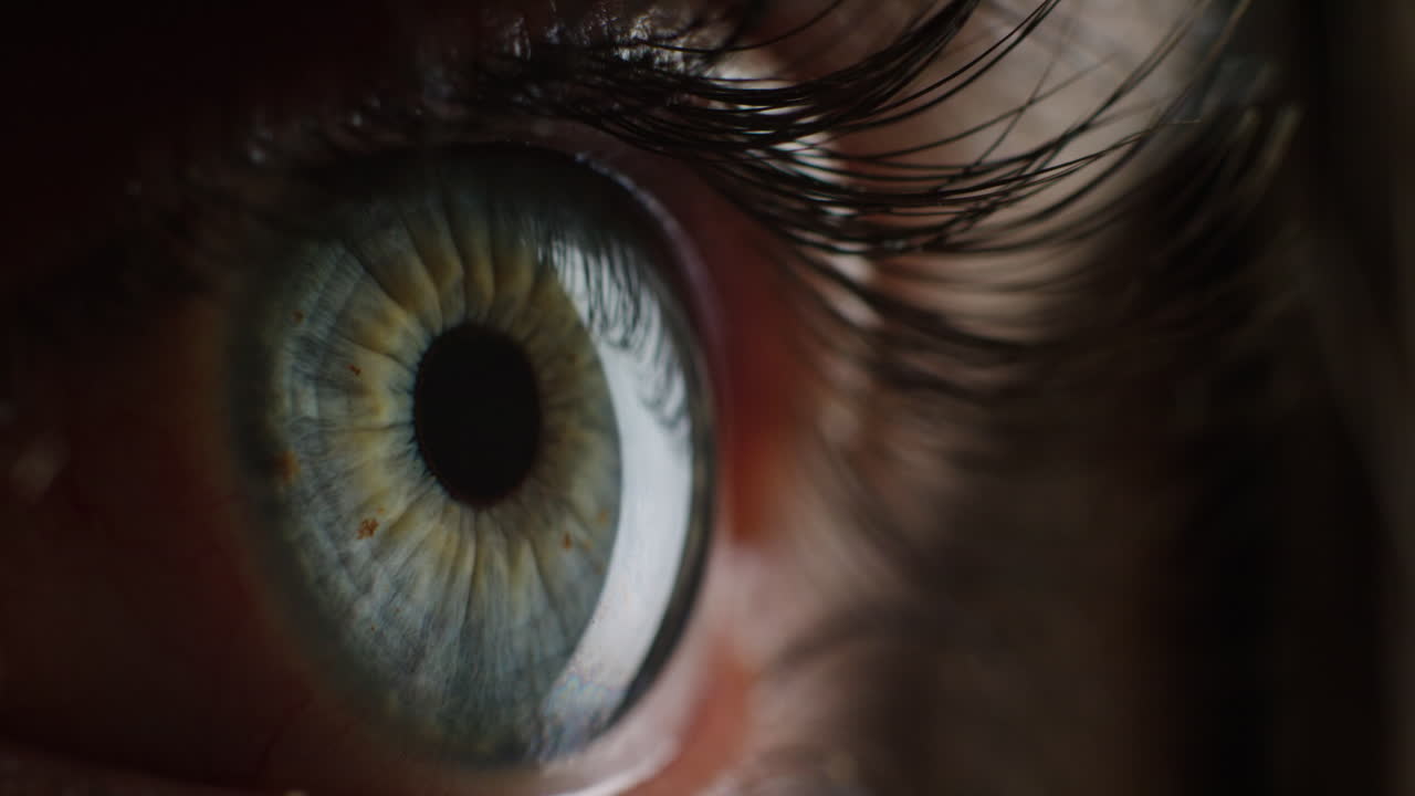 macro belleza ojo humano luz revelando el iris contrayéndose de cerca