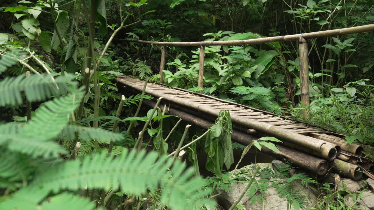 Bali jungle trek bamboo bridge over river Southeast Asia nature plants