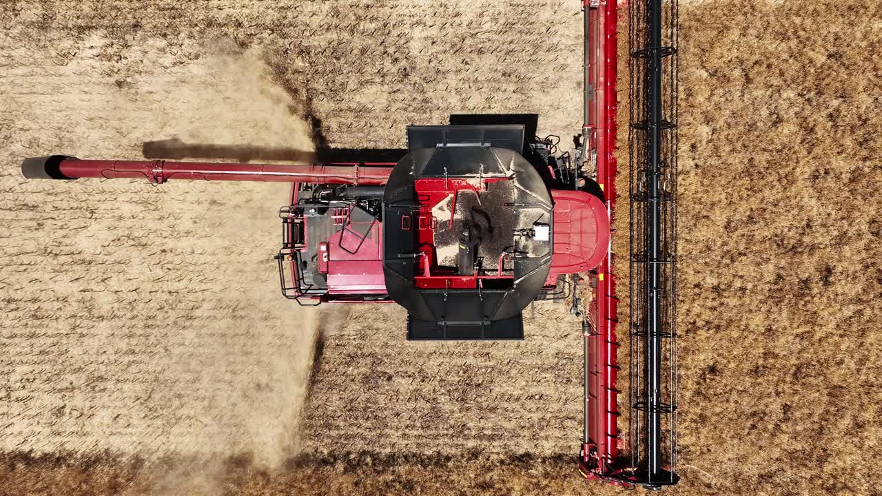 experimentar la precisión y el poder de una operación de cosecha de granos a gran escala a medida que los campos cobran vida con la actividad