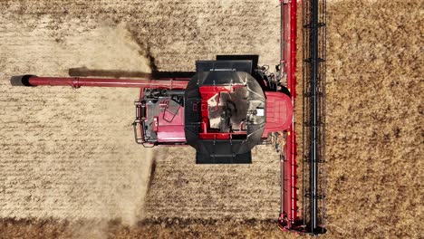 experience the precision and power of a large-scale grain harvesting operation as the fields come alive with activity